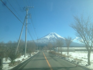 山梨の富士山とお仲間